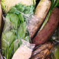宅配有機野菜　20100121