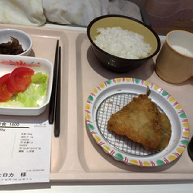 入院日記