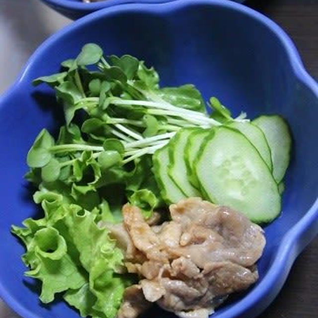 6月7日　　ビーフシチュー＆焼き肉サラダ