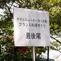 初めて高津神社の「とんど祭り」へ