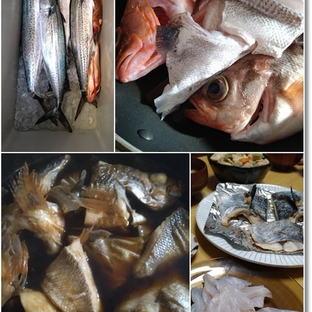 【ダンナさん食堂】ダンナさんの釣果飯と誕生日＆お雛様ごはん♪と３回目のワクチン接種