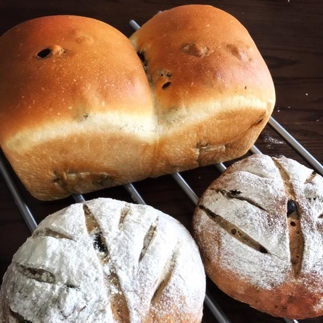 ハマりました！こっぷんかあちゃんの肉味噌♡とロールケーキその後とパン教室黒糖レーズンパン