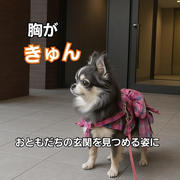 「ゆきちはここにいる？」お留守番まりちゃんの切ないお散歩ストーリー