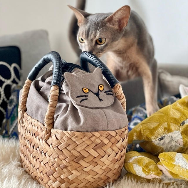 【PR】かわいすぎてニヤけてしまう♪ ねこちゃんとお出かけ気分になれるバッグ