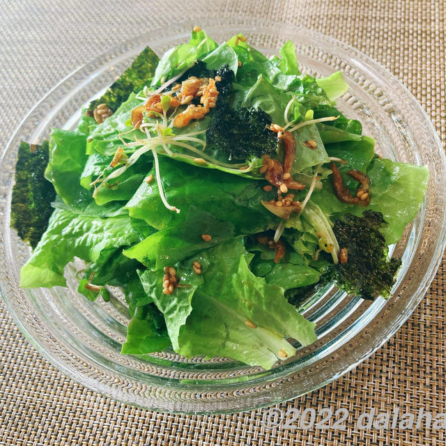 【レシピ】サラダ菜・サンチュ大量消費できる「チョレギサラダ」無限に食べられるやみつきサラダ！