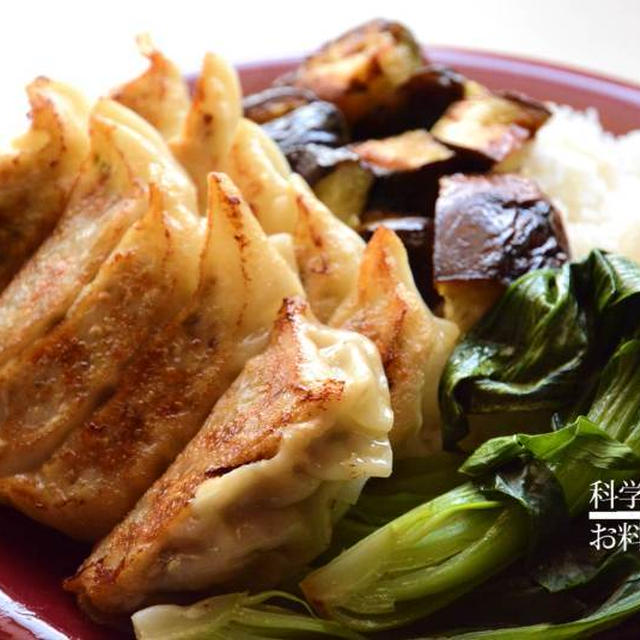 餃子ワンプレートの作り置きごはん