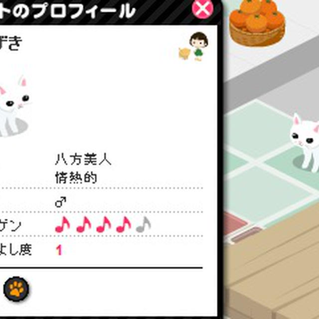 我が家へようこそ。。ネコのあずきちゃん♪