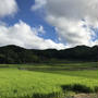 山梨夏旅行。