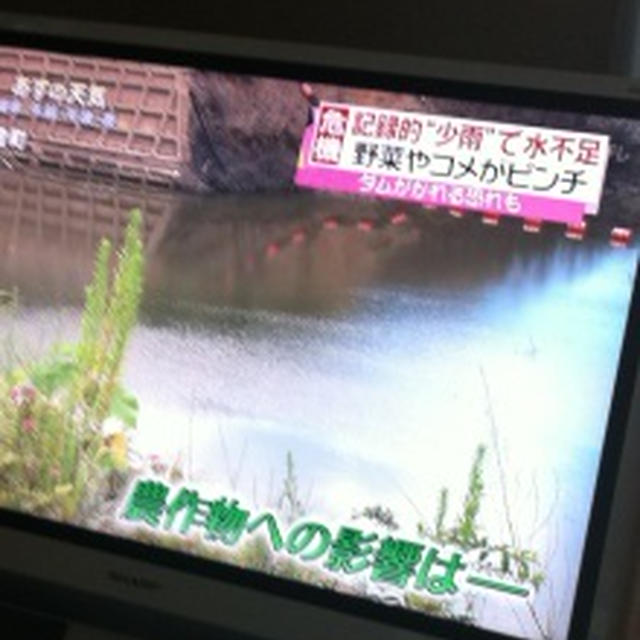 深刻な水不足(Ｔ▽Ｔ;)