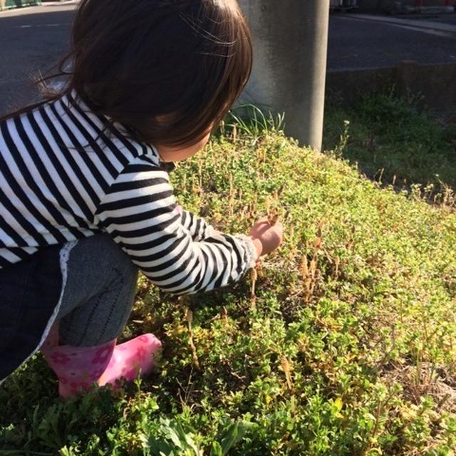 幸せだなぁ❤️