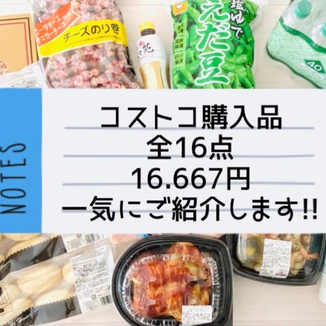 【コストコ】全購入品16点 ドドーン♪っと一気にご紹介しまーす♡