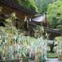京都なこと～貴船神社七夕飾り～