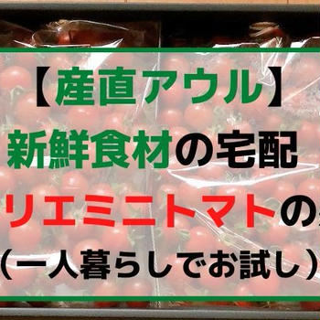 【野菜の宅配】一人暮らしでソムリエミニトマトを食べ比べ（味の感想）