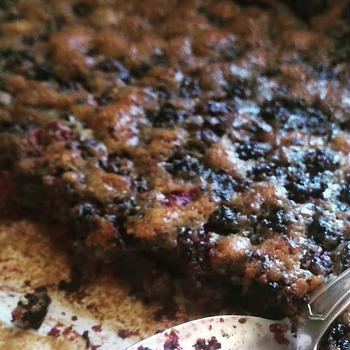 Clafouti de mûres sauvages 