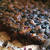 Clafouti de mûres sauvages 