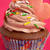チョコレート×チョコレートCUPCAKES☆SWEETレシピ～☆2011