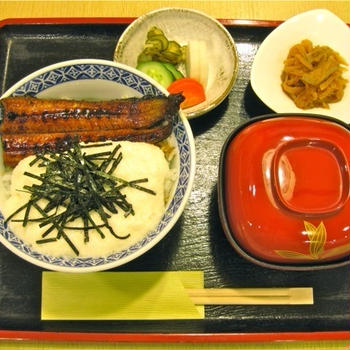 赤坂 美味しいランチ「うなとろ丼」日本料理 和食／春夏秋冬 藤吉