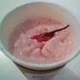 桜香る抹茶ミルクプレゼント～東急プラザ