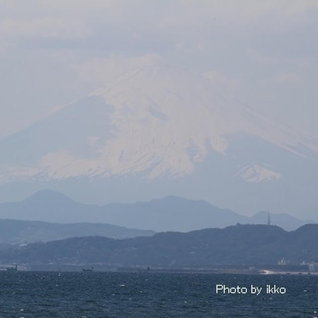 江の島行ってきました♪