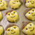 サンタパン