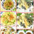 今夜は、天婦羅におろしぶっかけ蕎麦