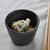 枝豆の白和え