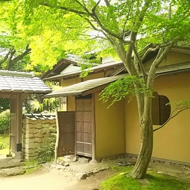 ☆老欅荘&amp;葉雨庵☆