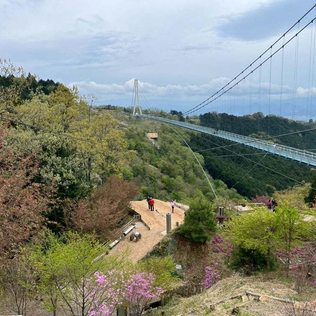 三島スカイウォークへ行ってきました(*^O^*)