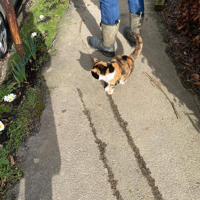 動物いっぱいの散歩道