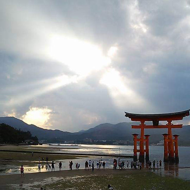 ☆宮島に鳳凰が！☆