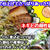 【レシピ】塩豚！　トロトロに煮込んで葱とごま油でどうぞ！