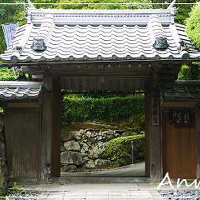 ☆2011 晩夏の滋賀：旧竹林院☆
