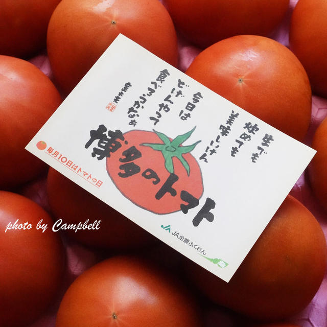 JA全農ふくれん 〜福岡県産トマトとツナの塩麹サラダ