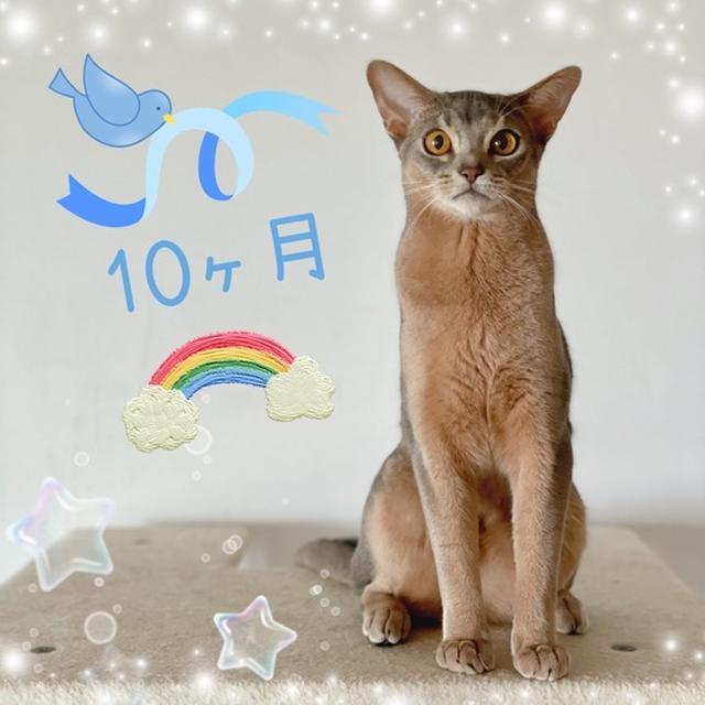 わか男、10ヶ月齢になりました