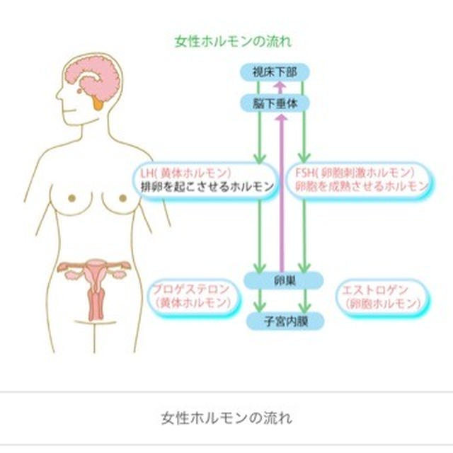 【病院】産婦人科で血液検査
