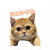 我が家のニャンズ / 猫にコレはやってはダメだよ あれこれ