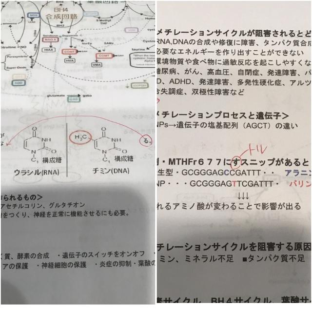 明日の講座と赤ペン先生なともさん