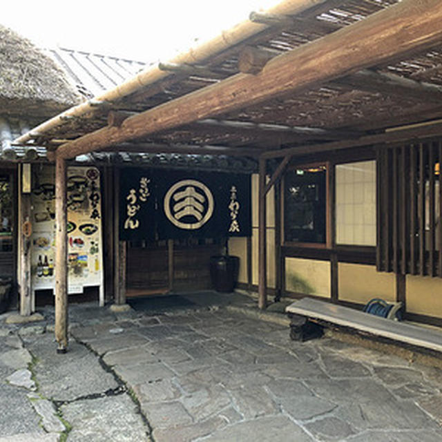 「第６１回讃岐うどん巡り」はいつもと違うメンバーで