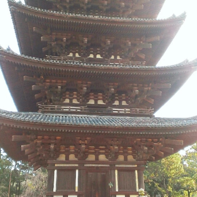 ＊鹿と一緒に初詣＊