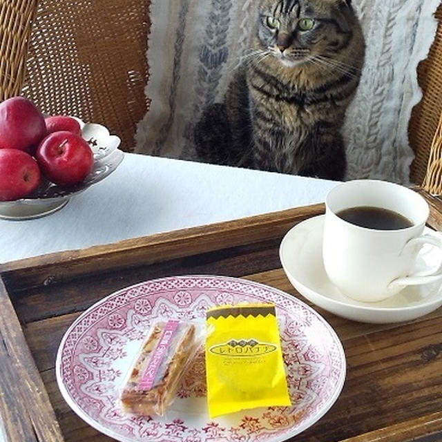 猫とおやつ♪ レトロバナナと門司港ふろらんたん