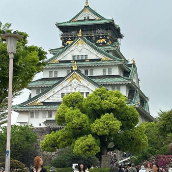 【大阪関西万博】ガイドブックに載ってない⁉ 実は超充実『海洋堂ミュージアム』が大阪観光の穴場だっ