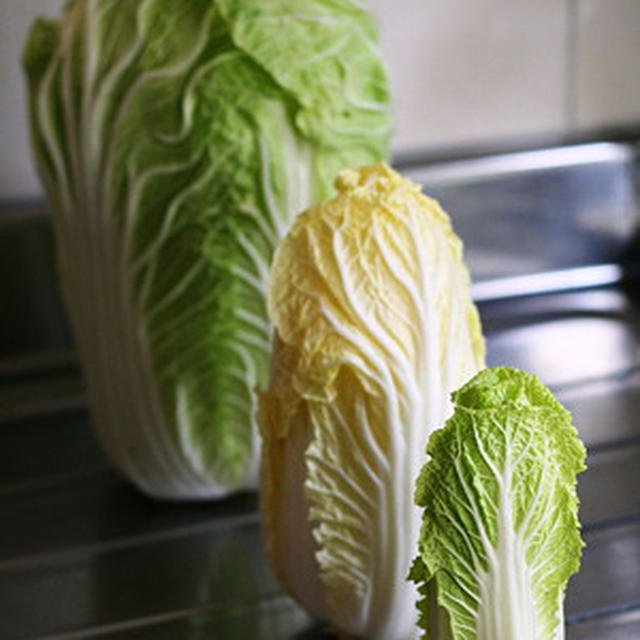 水を使わず、白菜と豚肉の蒸し鍋