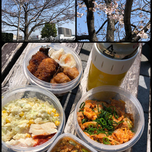 花見には早かったけど外飲みー