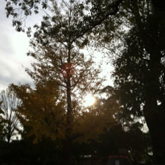 交通公園と紅葉と綺麗な夕陽