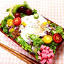 6月27日 タコライス弁当〜♪