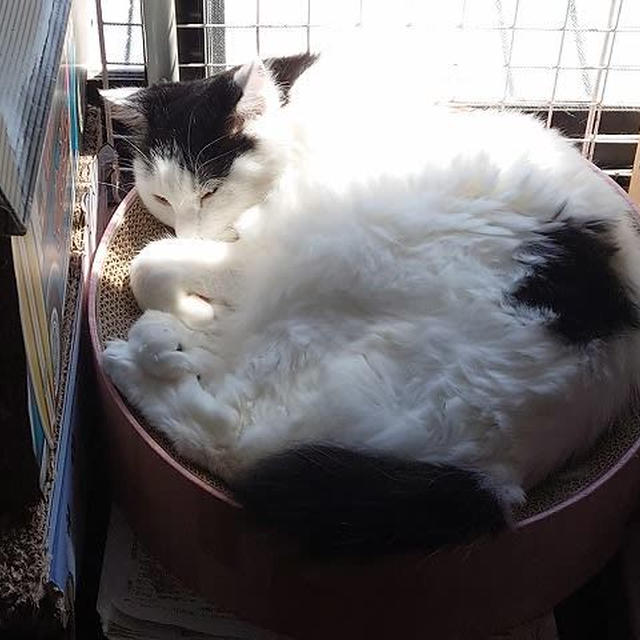 暑いけど窓際で…