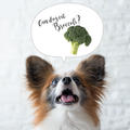 ■犬にブロッコリーやアブラナ科の野菜っていいの？（All About掲載）