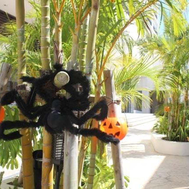 「ハロウィーン！」編、youtubeでアップしました！