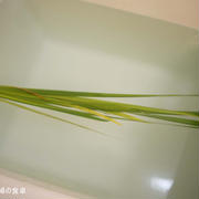 お節句の湯舟は菖蒲を浮かべて・・・