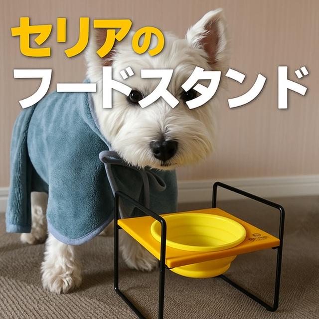 【購入レビュー】セレアで見つけた便利アイテム！二段階高さ調整可能なフードボウルスタンド